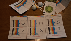 Three scorecards with WHS on them